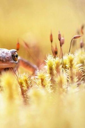 7. epizoda