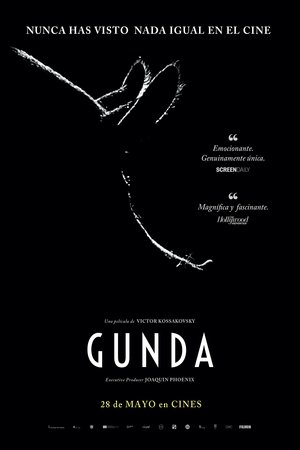 Imagen de Gunda