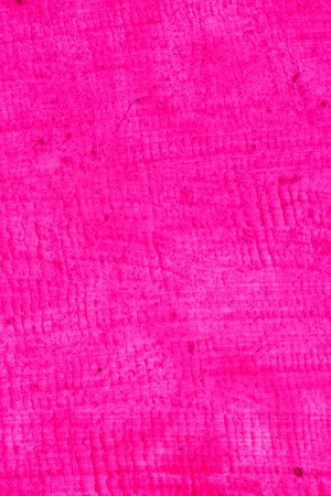 1/24 Pink