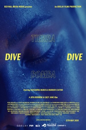 Dive Tierra Bomba Dive