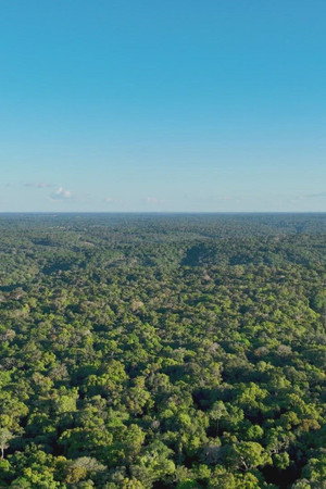 Secrets of the Amazon