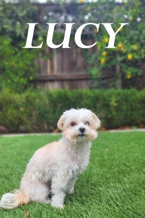Lucy