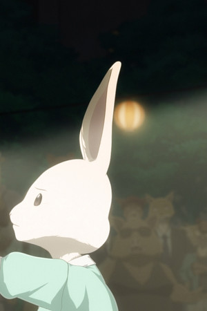 Mezidruhový kontakt