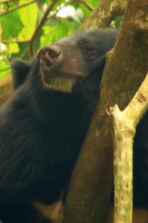 41. epizoda