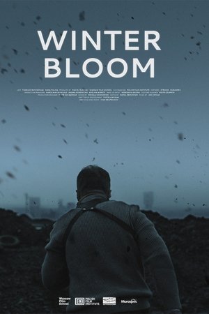 Winter Bloom