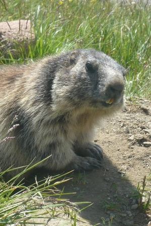 21. epizoda