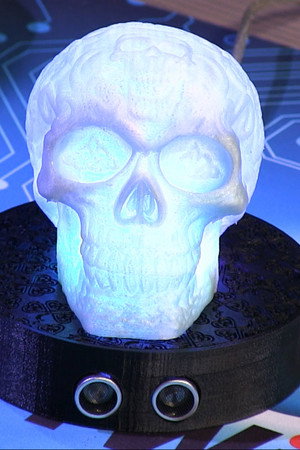 Skully (1)