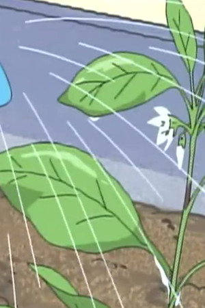 Episode 70