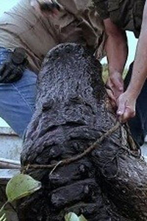 4. epizoda