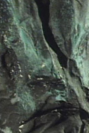 Scary! Humans are Being Made into Trees!!