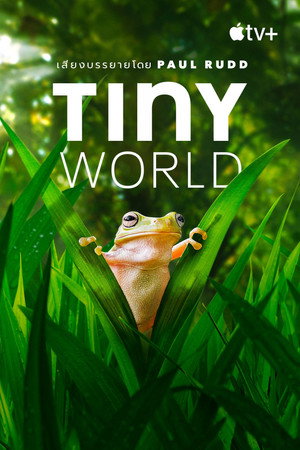 Tiny World