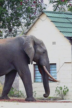 5. epizoda