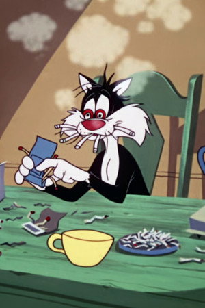 The Last Hungry Cat