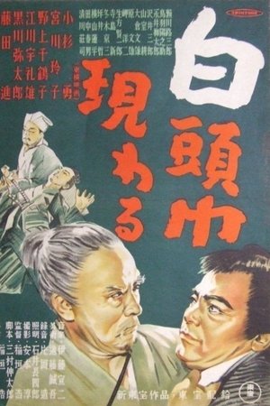 白頭巾現わる