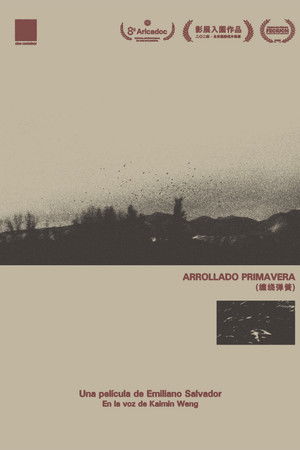 Arrollado Primavera