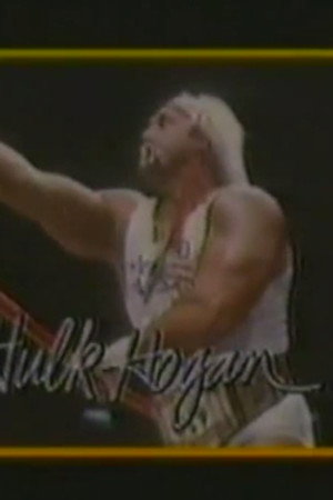 March 14, 1987 - Superstars of Wrestling 28
