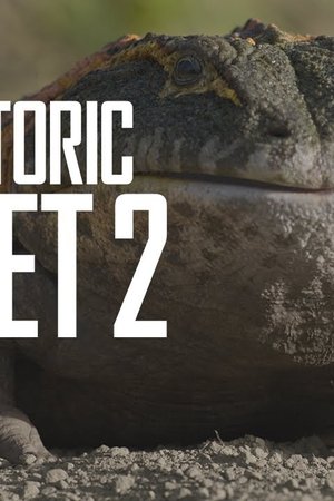 20. epizoda