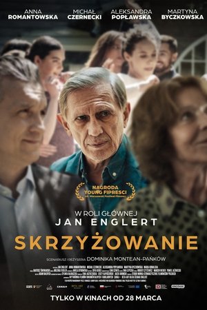 Skrzyżowanie