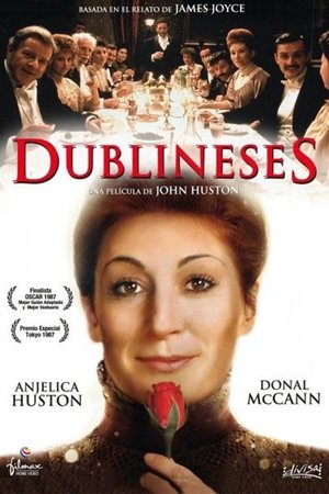 Imagen de Dublineses