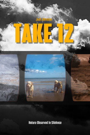 Take 12