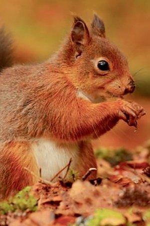 3. epizoda