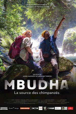 Mbudha, in the Chimpanzees' Footsteps