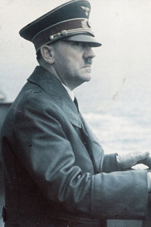 Hitlers DNA: Blueprint of a dictator - Diagnosis