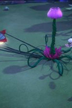 Gekko a všemocný balvan