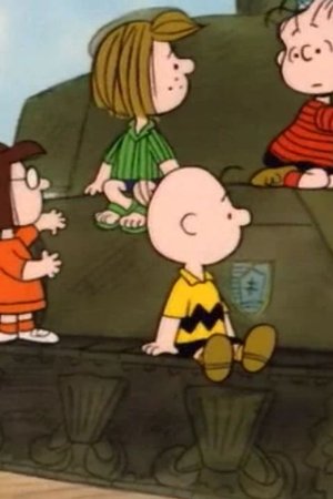 What Have We Learned, Charlie Brown?