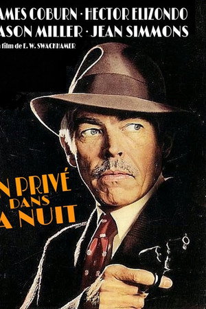 Un privé dans la nuit