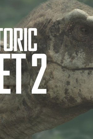 19. epizoda