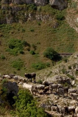 From the Stones to the Stars