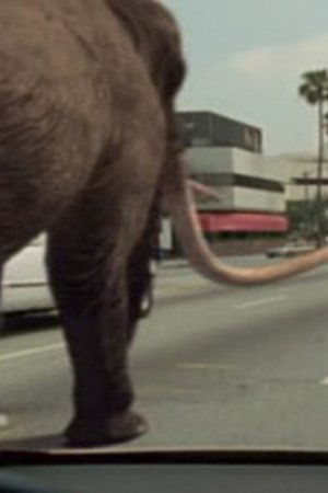 6. epizoda