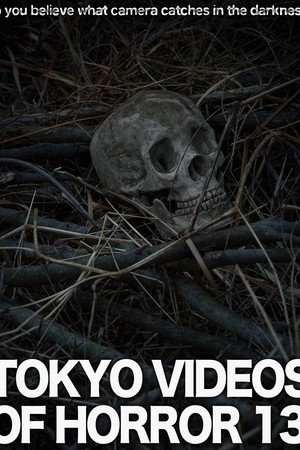 Tokyo Videos of Horror 13