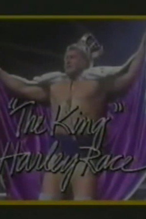 January 31, 1987 - Superstars of Wrestling #22