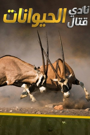 نادي قتال الحيوانات