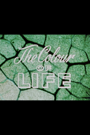The Colour of Life