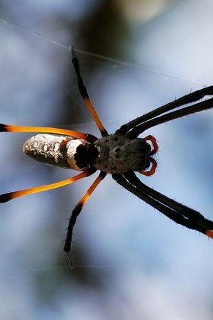 23. epizoda