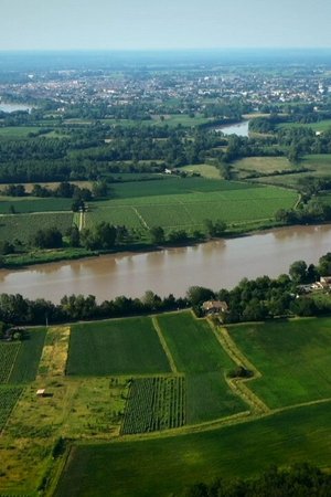 Bordeaux – Cuveé