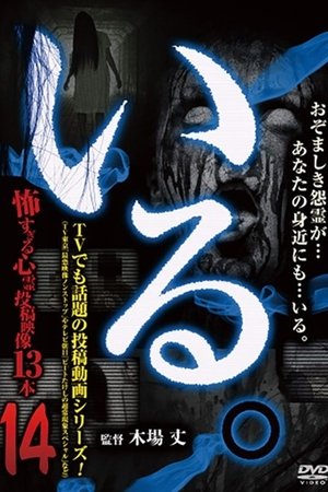 「Iru.」~ Kowasugiru Tōkō Eizō 13-hon ~ Vol.14