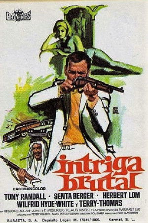 Our Man in Marrakesh