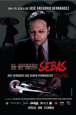 El secreto de mi amigo Sebas