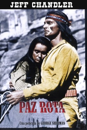 The Battle at Apache Pass