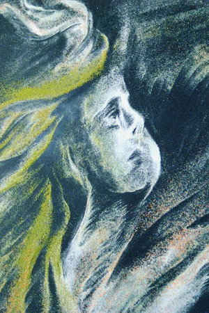 Ave Maria (Ellens Gesang III) D. 839