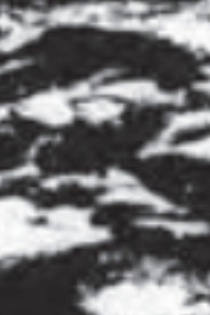 Burren