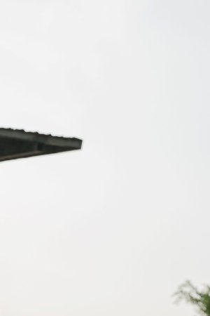 Under the Gun