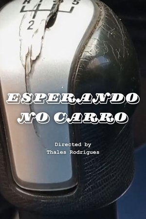 Esperando no Carro