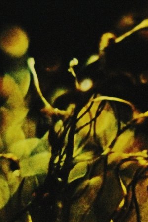 A Study in Natural Magic