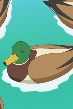29. epizoda