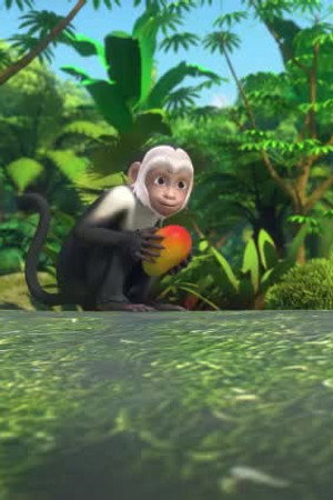 Mission: Capuchin Monkey Rescue